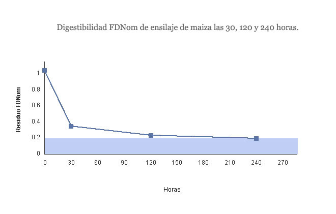 undf video forma